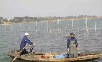 聚焦水韻江蘇 環保技術驅動，多地水污染防治成效顯著